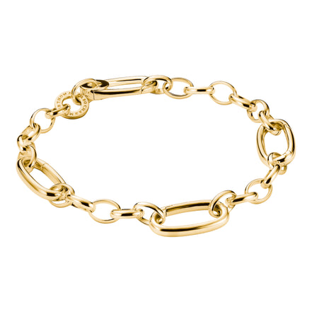 Charm-Armband Connect Vergoldet