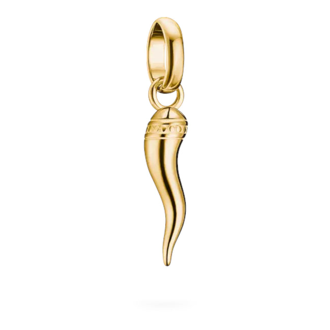 Anhänger Cornicello