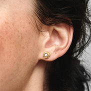 Ohrstecker Muschel