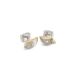 Boccia Titan Ohrstecker Bicolor goldfarben mit Brillant 05044-04