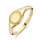 BLUSH Ring 14 Karat Gelbgold 1205YGO