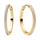 264652C01-juwedi-1_37566