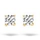 BLUSH Ohrstecker 14 Karat Gelbgold mit Zirkonia 7128YZI