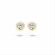 BLUSH Ohrstecker 14 Karat Gelbgold mit Zirkonia 7214YZI