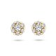 BLUSH Ohrstecker 14 Karat Gelbgold mit Zirkonia 7241YZI