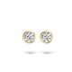 BLUSH Ohrstecker 14 Karat Gelbgold mit Zirkonia 7256YZI