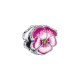 790777C01_juwedi_1_1620