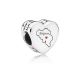 Pandora Charm 792015_E003