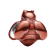 794903C01-juwedi-1_39999
