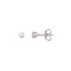 Xenox Ohrstecker XS3163G