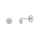 Xenox Ohrstecker XS3163G