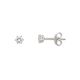 Xenox Ohrstecker XS2935