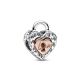 Pandora Charm 782505C00